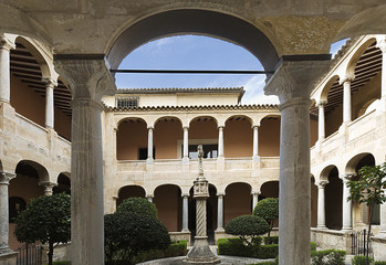 Cloister of the Cathedral of Orihuela.