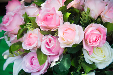 Sweet Roses