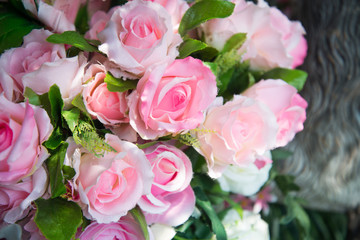 Sweet Roses