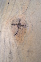 A knot in a wood