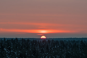 Sunset. Half of sun on horizon over the forest