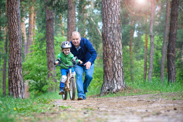 Fototapeta premium Little kid boy of 3 years and his father in autumn forest with a bicycle. Dad teaching his son. Man happy about success. Child with helmet. Safety, sports, leisure with kids concept.