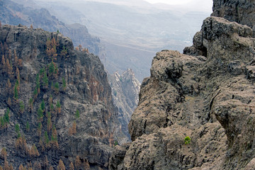Fototapeta premium Mountain landscape in Gran Canaria