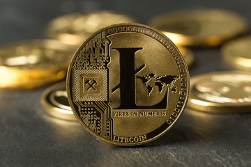 litecoin in front of other crypto coins