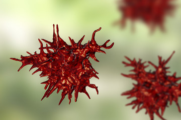 Naklejka premium Acanthamoeba castellanii amoeba, 3D illustration. Amoeba found in all aquatic habitats and soil, causes ceratitis especially amongst contact lens wearers