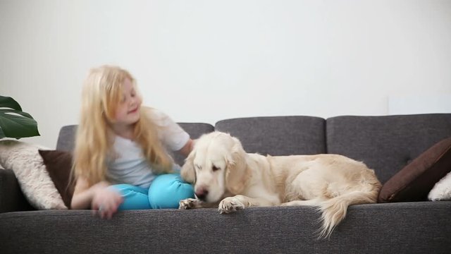 care for pets. A blonde girl strokes her dog with love in the living room. happy golden retriever in the family.