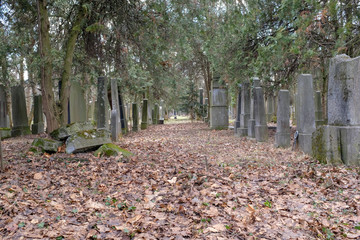 Zentralfriedhof, Abteilung Alter jüdischer Friedhof