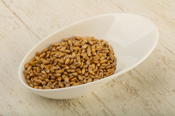 Wheat grains