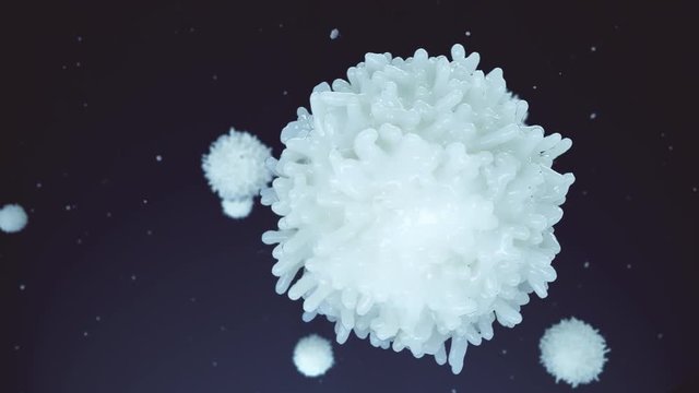 Lymphocyte (Leukocyte). Medically accurate 3D representation of an electron microscope view.