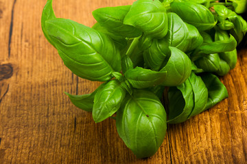 Fototapeta premium Basil