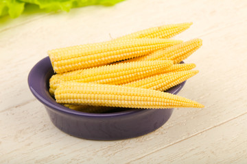 Young baby corn