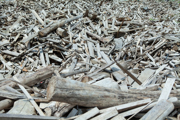 Huge pile of wood debris
