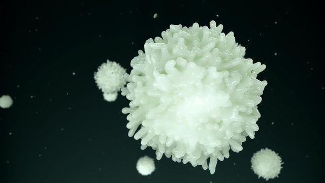 Lymphocyte (Leukocyte). Medically accurate 3D representation of an electron microscope view.