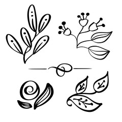 Set Hand drawn Wild flowers branch vector drawing and sketch with line-art on white backgrounds, for botanical logo