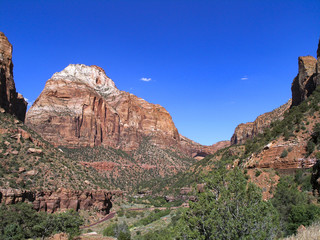 Zion national park USA landscape with the red rocks and blue sky