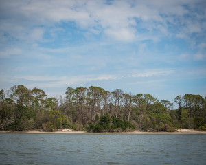 Cumberland Island