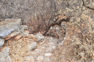 Down the Ancient Steps