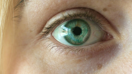 Beautiful green eye of a girl, blonde, freckles.