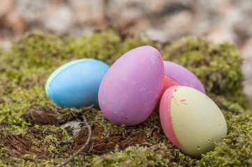 closeup of décorative easter eggs on moss in the forest