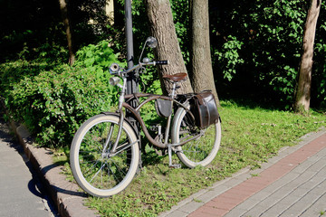 Fototapeta na wymiar The bike in the Park