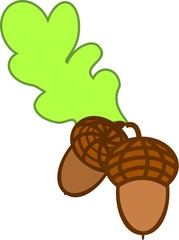 Two brown acorns with green oak leaf on white background