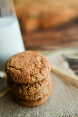 fresh homemade oatmeal cookies on wooden background with spikes of oats