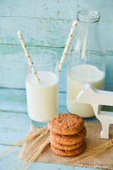 fresh oatmeal cookies and milk on blue wooden background with spikelets of oat