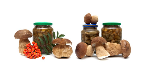 mushrooms and a bunch of red rowan on a white background