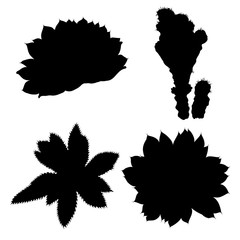 Black silhouettes of succulents and cactuses set. Trendy tropical design for textile. Set of various hand drawn cacti exotic plants. Vector.