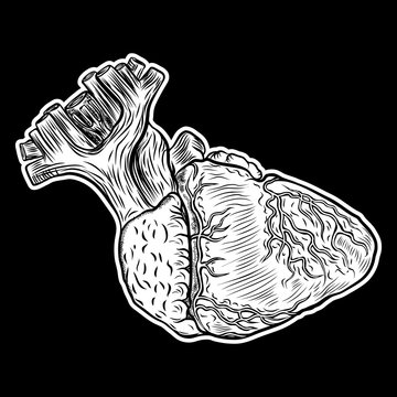Human heart in hand drawn style. Anatomical sketch concept in gold for flesh tattoo or print t-shirt, smart phone, poster. Fashionable patch heart sticker. Doodle pop art sketch badge. Vector.