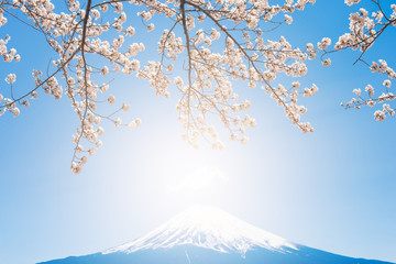 mt.Fuji in kawaguchiko lake,Kawaguchiko lake of Japan,Mount Fuji, Kawaguchi Lake, Japan,with,Spring Cherry blossoms, pink flowers,Cherry blossoms or Sakura and Mountain Fuji at the river in morning