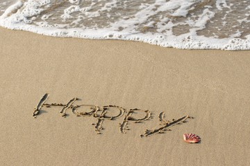 砂浜　Happyの文字