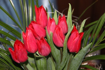 Fototapeta premium Women's Day March eight.Post blog social media