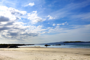 Sea coast with the beach