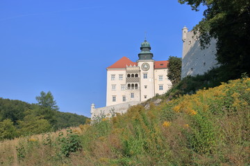 Fototapeta na wymiar Piękny widok zamku w Pieskowej Skale, Polska, wiosna, pochyła łąka z polnymi kiatami, kwitnącymi roślinami, zamek, błękitne niebo, las
