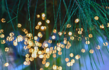 The backdrop of the orange spherical bokeh with the branches of