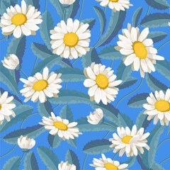 Obraz premium A daisy flower on a background of green leaves. Seamless pattern. Vector illustration.