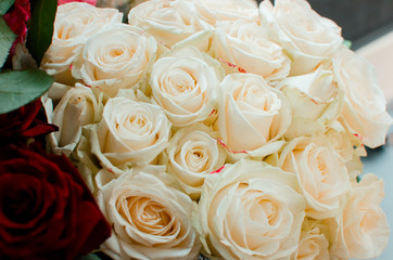 Beautiful spring bouquet of white roses. The concept of Mother's Day. Place for text