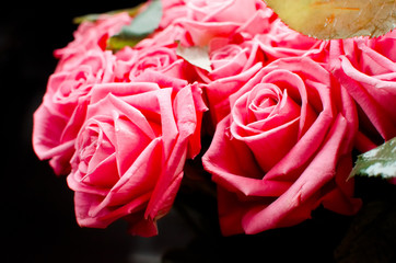 A beautiful spring bouquet of red roses. The concept of Mother's Day. Place for text