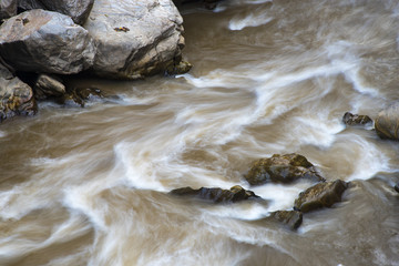 Natural stream from the forest