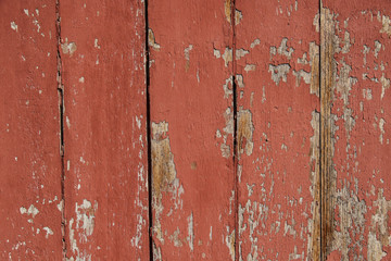 Texture of old wood with cracked paint of red color