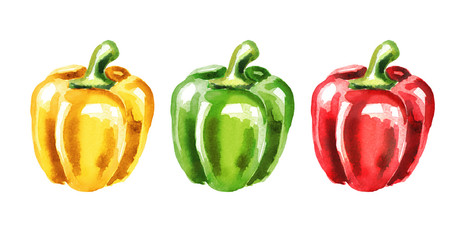 Colors of Bell pepper set. Watercolor hand drawn illustration  isolated on white background - obrazy, fototapety, plakaty