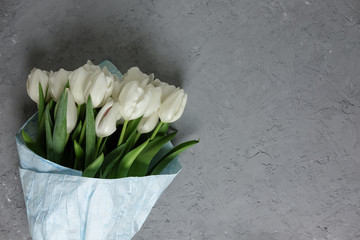 A bouquet of white tulips in blue wrapping paper on a gray concrete background. Top view. Flat lay. Postcard for Easter, Mother's Day and Spring Holidays.