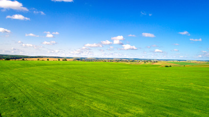 the green field is at sunset shot with the drone