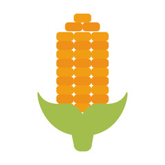 Corn vegetable isolated vector illustration graphic design