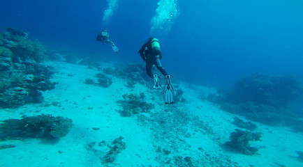 Fototapeta na wymiar Two Divers at the red Sea at the coral reef