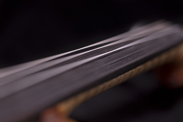 Strings of a violin