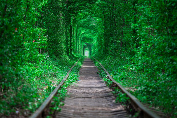 a railway in the spring forest tunnel of love