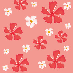 white and red plumeria flowers background, colorful design vector illustration
