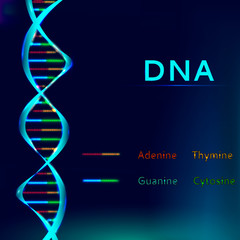 DNA sequence vector illustration.